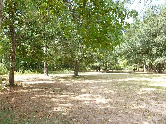 Plenty of shade, plenty of place to play...