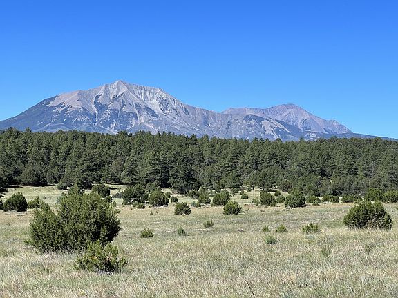 3rd image of County Road 330