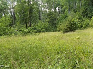 709 Heartwood Ln #5, Butler, TN 37640