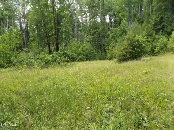 709 Heartwood Ln #5, Butler, TN 37640