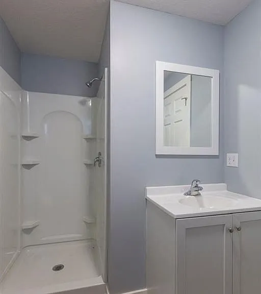 White vanity, mirror and walk-in shower.