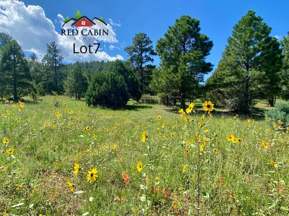 LOT 7 Red Cabin Rnch, Vernon, AZ 85940