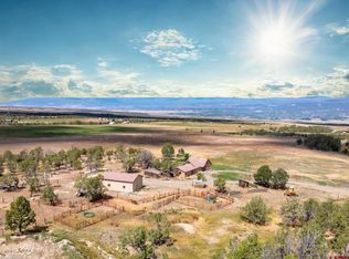 34706 Fruitland Mesa Rd, Crawford, CO 81415