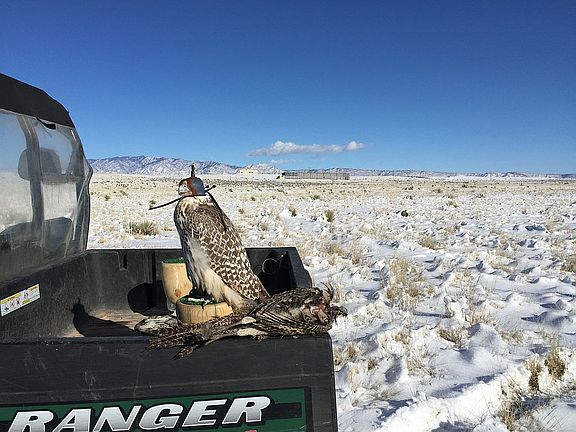 Looking NE in winter
