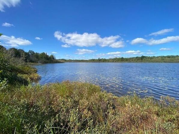 Point Birch Shore Dr LOT 119-W, Trout Lake, MI 49793