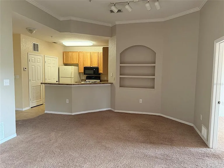 10105 Courtney Oaks Blvd #304 — Photo 9