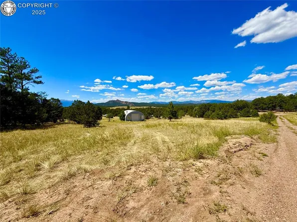 1876 F Path, Cotopaxi, CO 81223