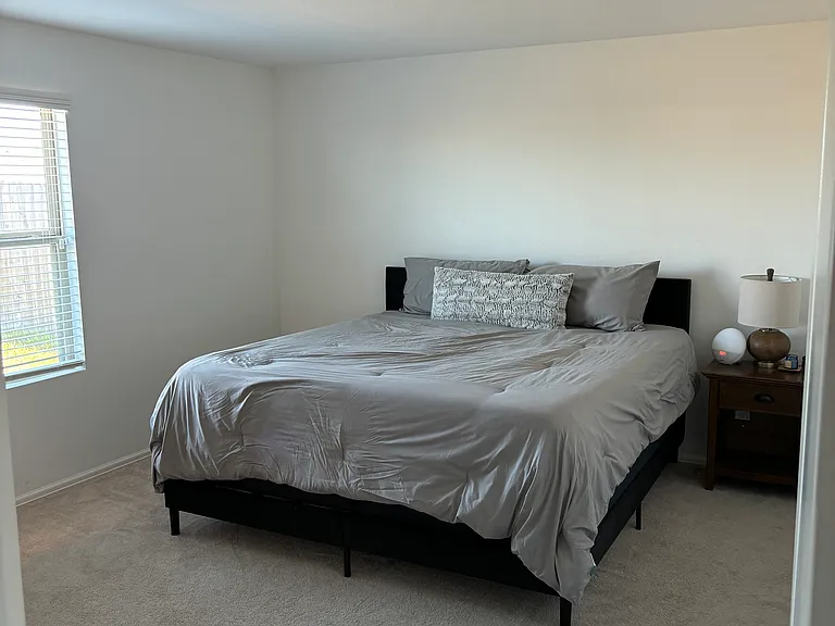 Master bedroom - king size bed displayed