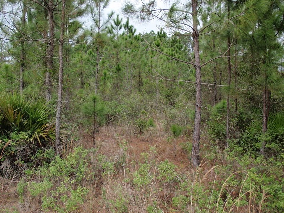 1 acre on 207A