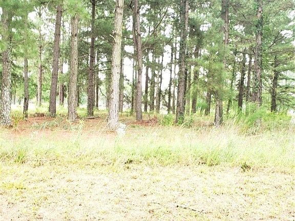 5th image of 1127 Wild Pines Dr
