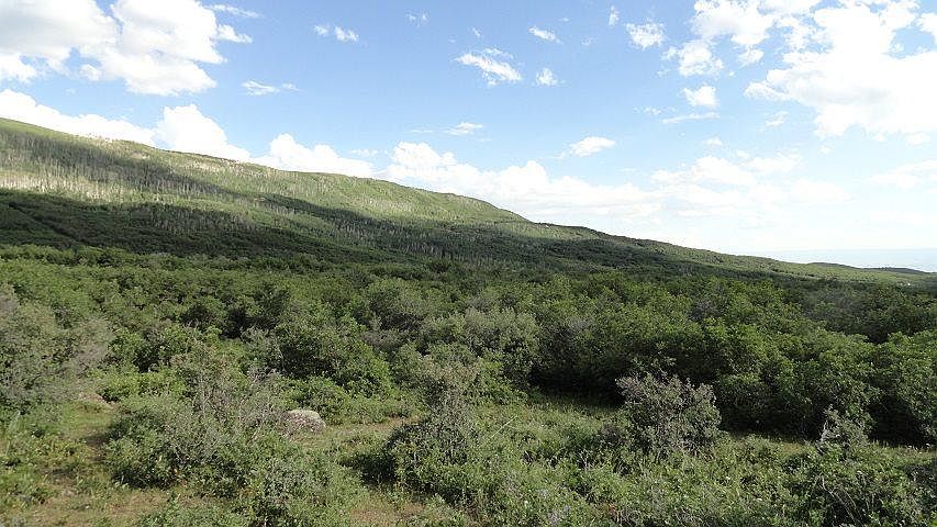 1st image of 3100 Road Lot 9