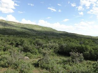 3100 Road LOT 9, Hotchkiss, CO 81419