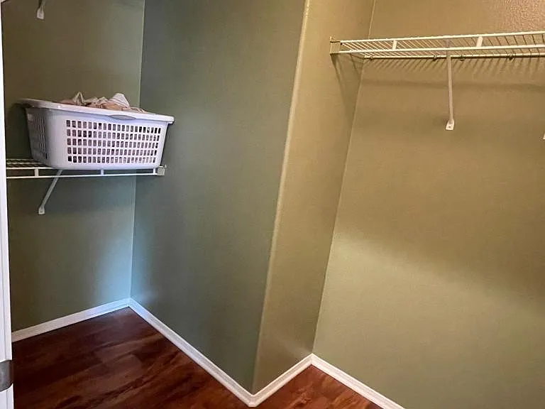 27139 Tube Rose St — Photo 13