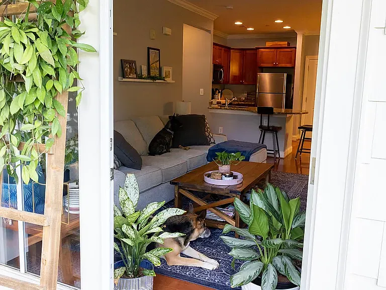 Balcony Entryway