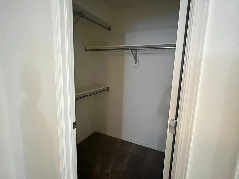 downstairs closet