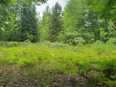 Hickory Dr, Kewadin, MI, 49648