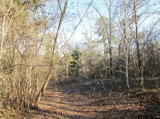 Town Road 1 Willow Creek Ranch Rd, Gladewater, TX 75647