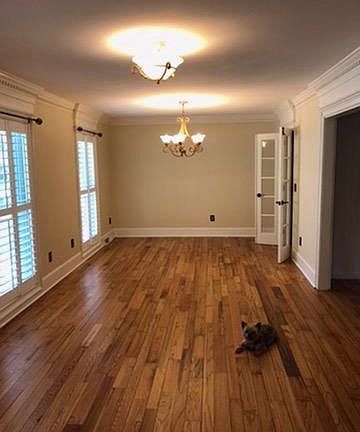Front living areas. Dog not included in rental!