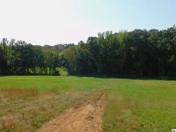 16308 Us Highway 68 E, Hardin, KY 42048
