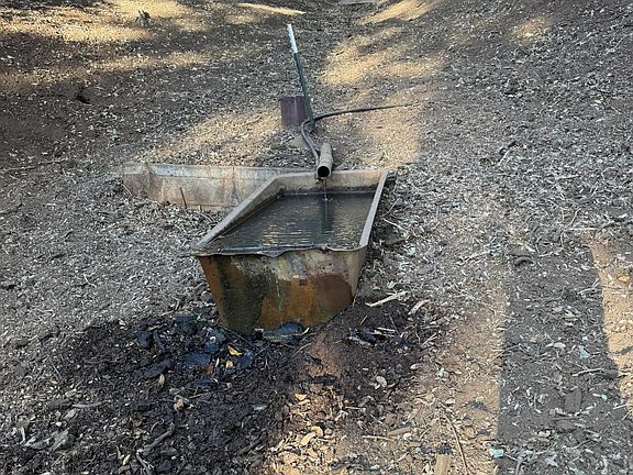 5th image of 2328 Dahlberg Dr