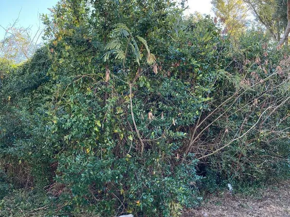 914 Starkeys Alley, Wilmington, NC 28401