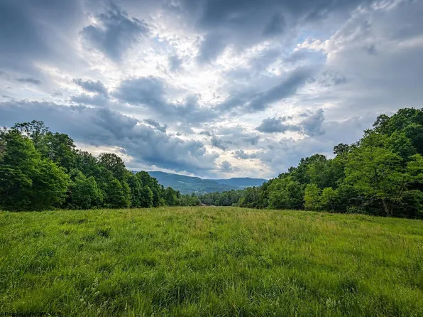 11 Iron Horse Ln, Dryfork, WV 26263