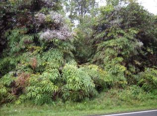 Road 8, Mountain View, HI 96771