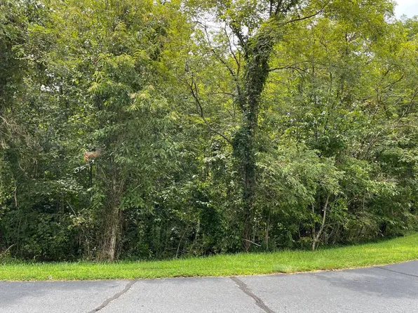 23 Dan Knob Dr, Hayesville, NC 28904