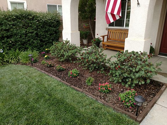 5th image of 31382 Janelle Ln