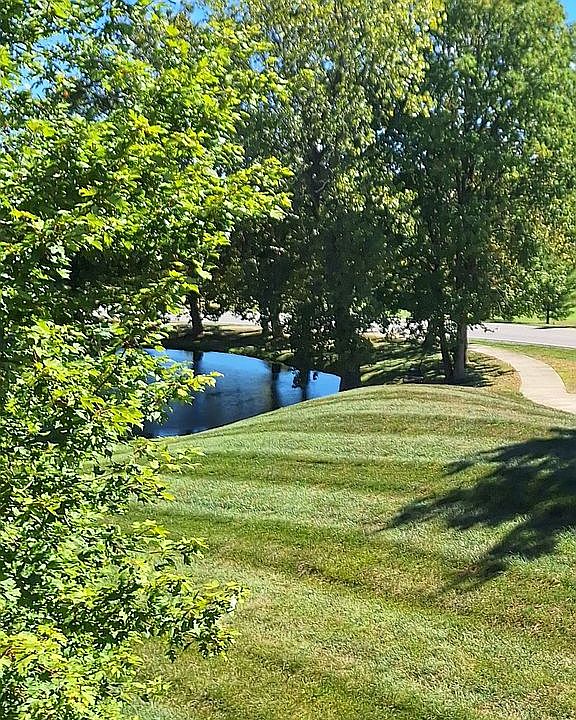View from private Deck