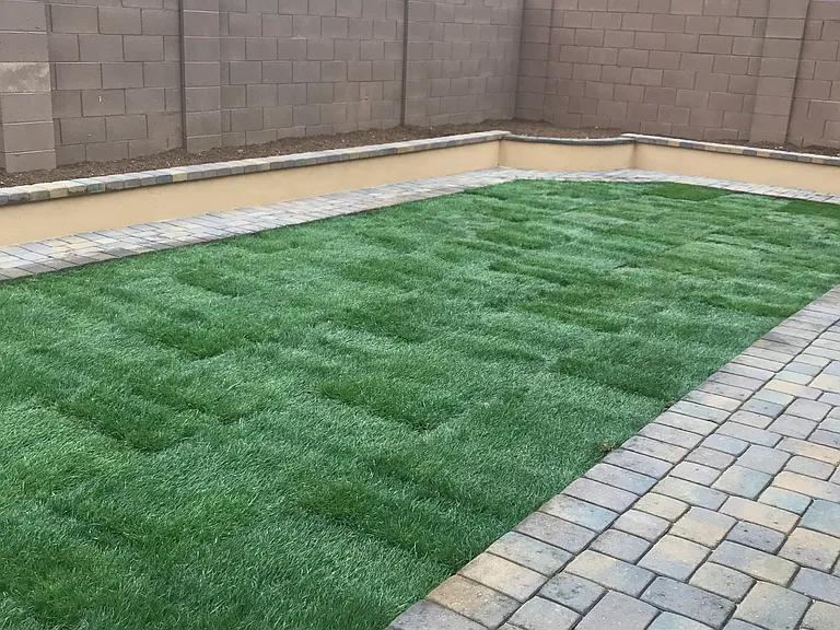 2686 E La Costa Dr — Photo 20