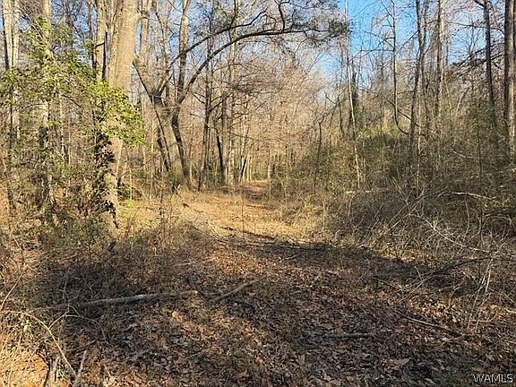 4th image of 0 Black Walnut Dr