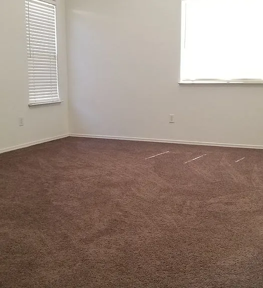 4700 Betony Dr — Photo 13