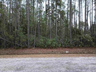 10230 Dillon Ave, Hastings, FL, 32145
