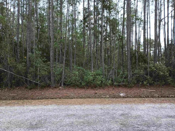 10230 Dillon Ave, Hastings, FL 32145
