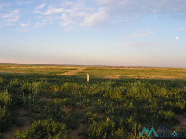80/ Ac #1-38, Roy, NM 87743