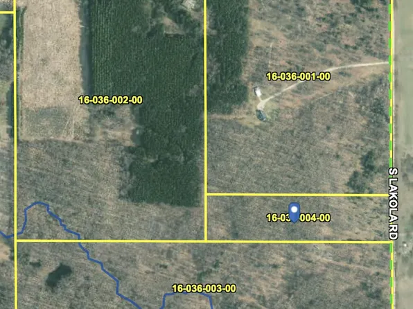V/l S Lakola Rd, Reed City, MI 49677