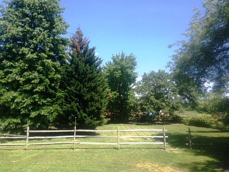 View of the huge backyard, outdoor entertaining.