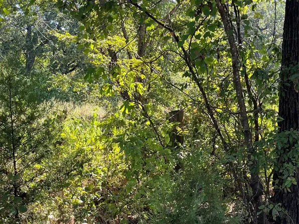 0 Pinewood Dr, Quinlan, TX 75474