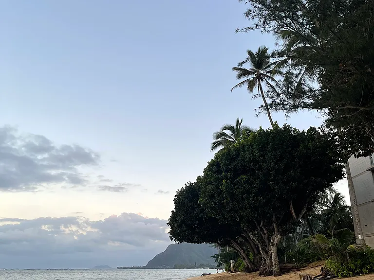 53-549 Kamehameha Hwy #608 — Photo 13