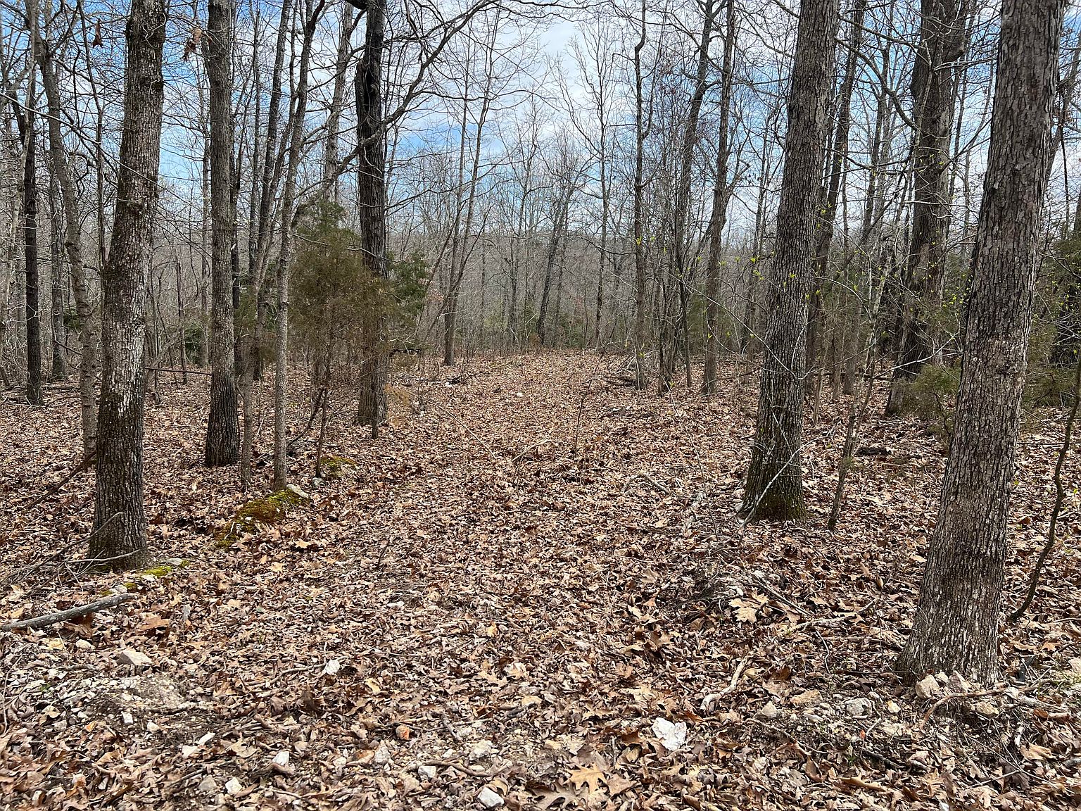 Lot 11 Private Road Off 359, Thayer, MO 65791 | MLS #60239649 | Zillow