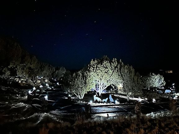Walking path at night