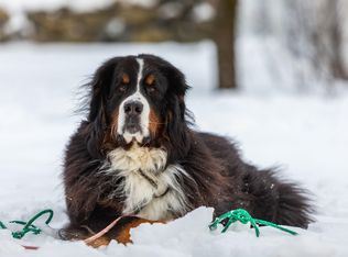 1F Stratton Springs Rd, West Wardsboro, VT 05360