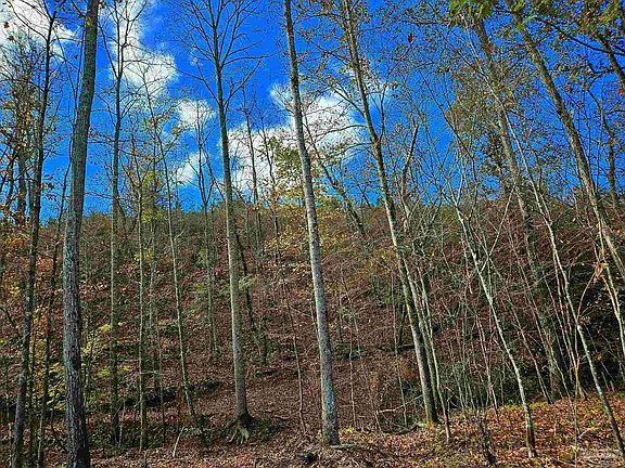 4th image of 0 County Road 79