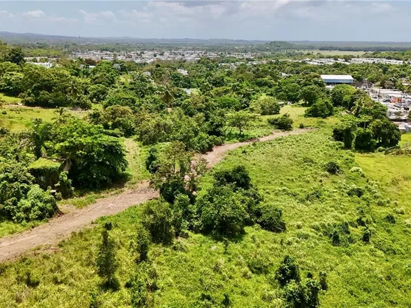 BO ZARAL SEC CAROLA, RIO GRANDE, PR 00721