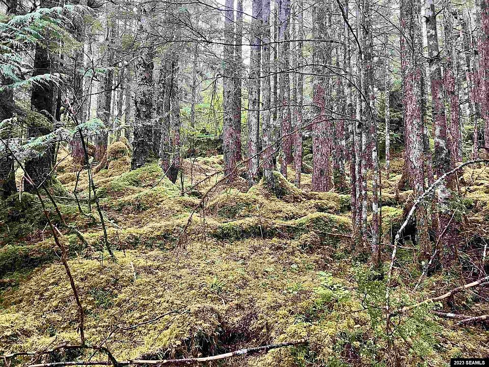 Legal Address Only Thorne Bay Lot 4; Block 6; Plat, Thorne Bay, AK 99919 MLS 23440 Zillow