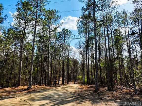 3rd image of 11 State Highway 80