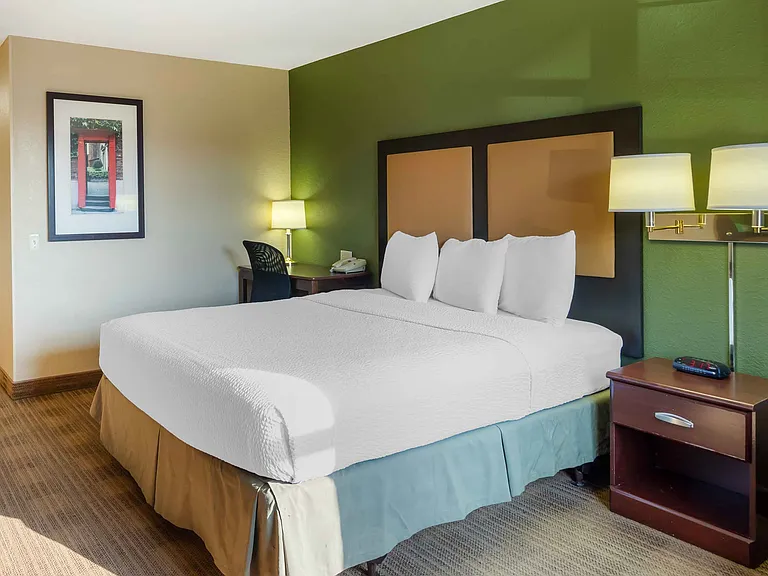 Studio Suite - 1 Queen Bed