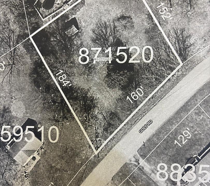 2nd image of Gold Road