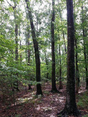 1st image of 2289 An County Road 359